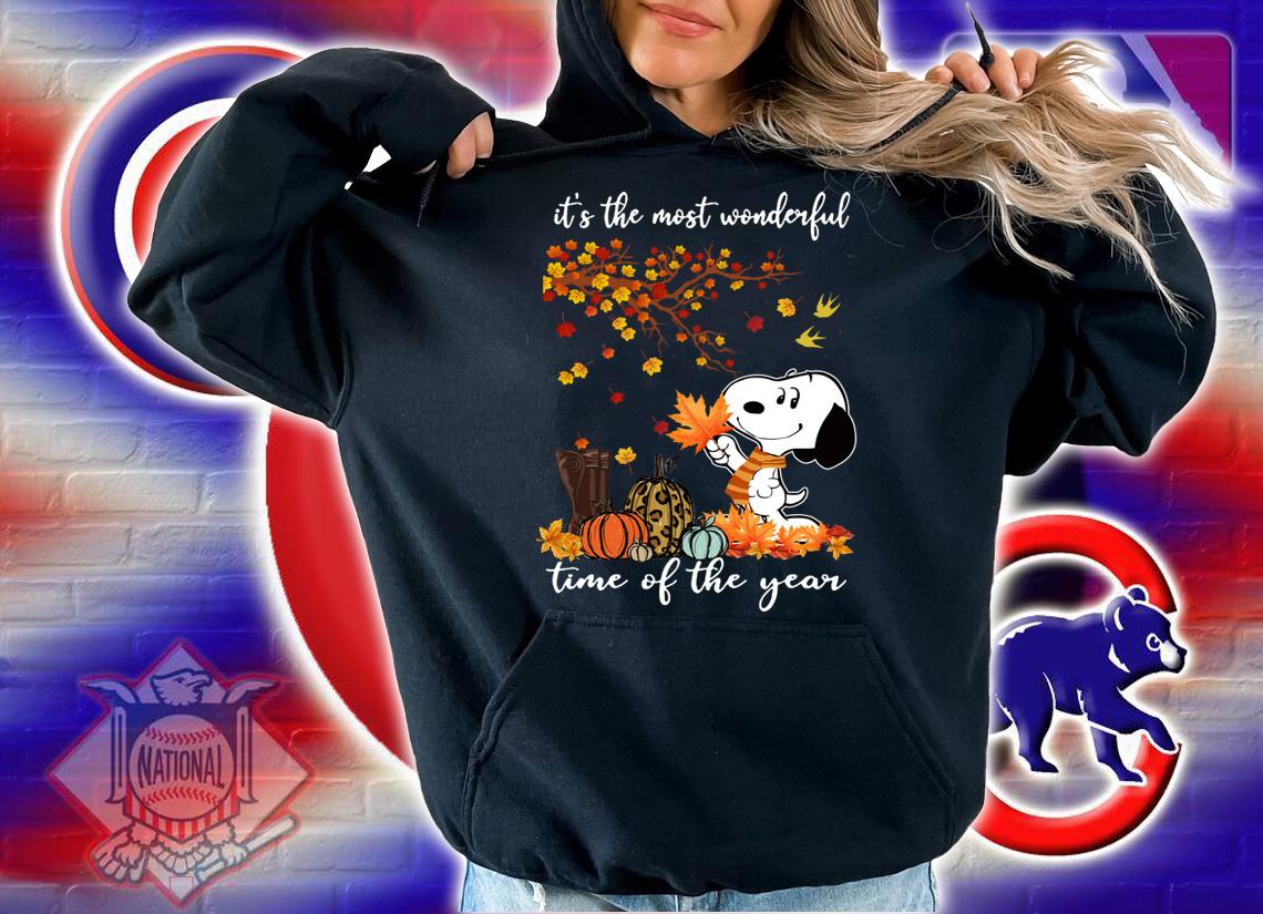 Snoopy Autumn it’s the most wonderful time of the year t-shirt hoodie