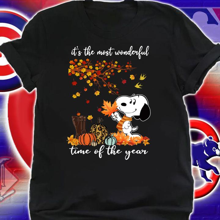 Snoopy Autumn it’s the most wonderful time of the year t-shirt shirt