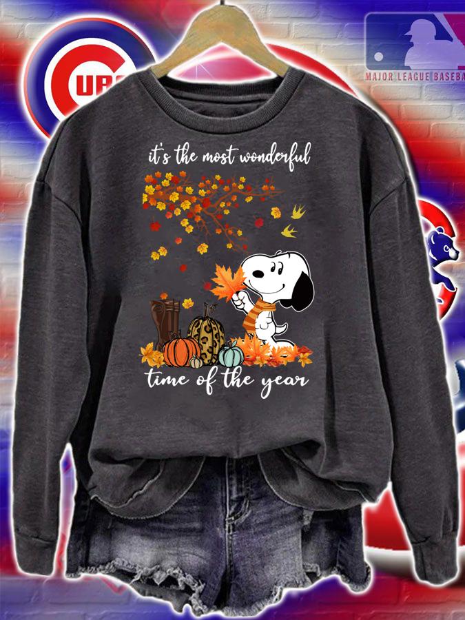 Snoopy Autumn it’s the most wonderful time of the year t-shirt sweatshirt