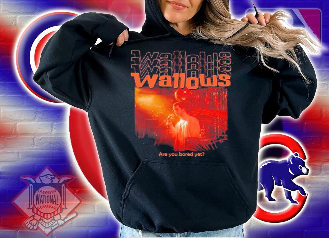 Wallows Are You Bored Yet Wallows Concert T-Shirt t-shirt