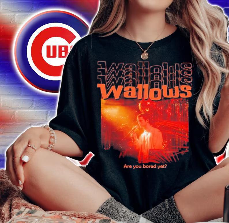 Wallows Are You Bored Yet Wallows Concert T-Shirt t-shirt