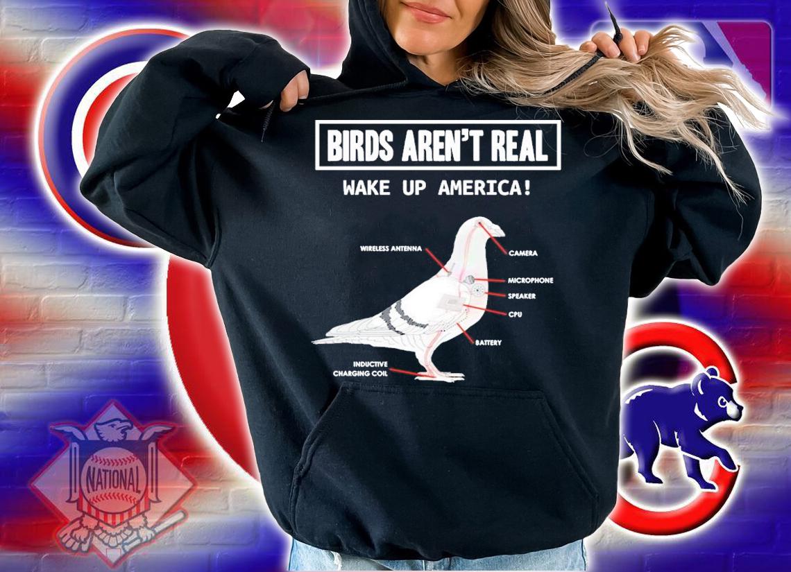 Birds Arent Real Shirt t-shirt hoodie