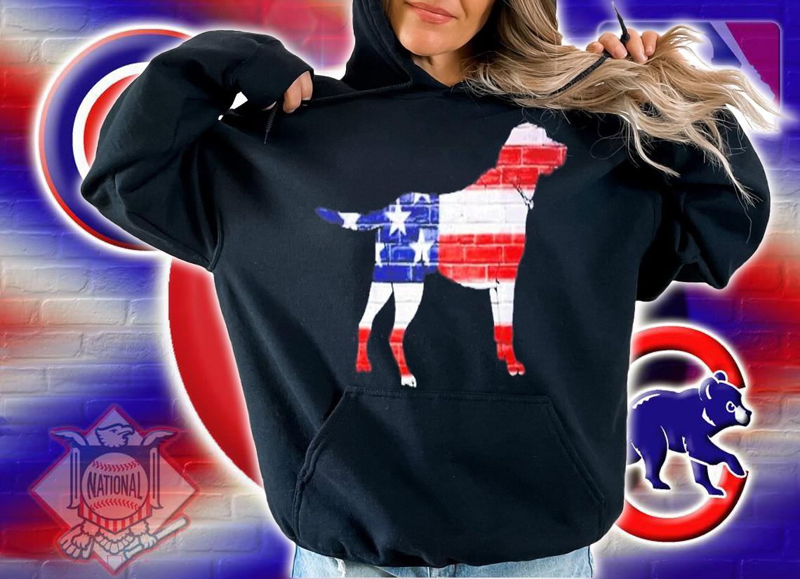 Patriotic Labrador Retriever Wearing Usa Flag Lab Puppy Dog T-Shirt t-shirt