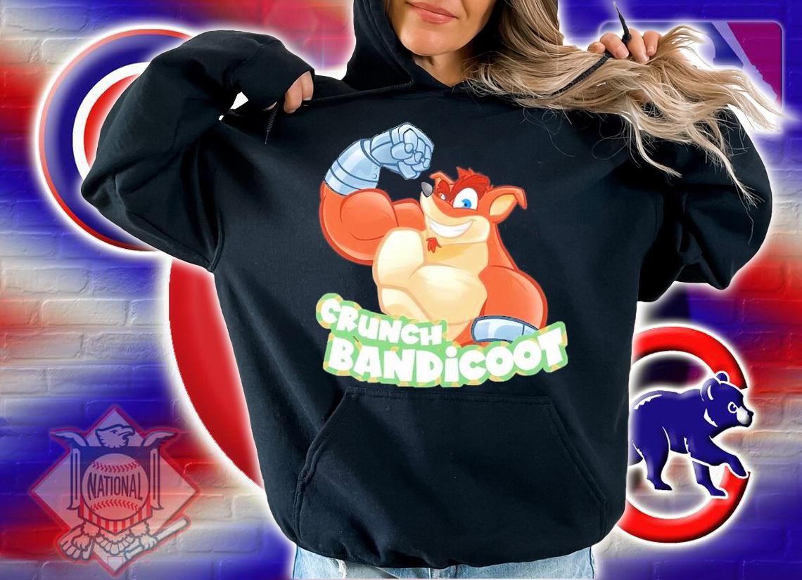 Crunch Bandicoot Shirt hoodie